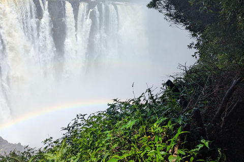 Explore Victoria Falls & Mosi‑oa‑Tunya Exclusive Guided Tour