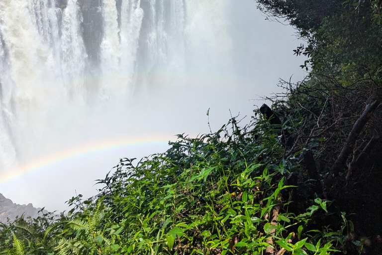 Explore Victoria Falls & Mosi‑oa‑Tunya Exclusive Guided Tour