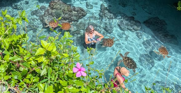 Zanzibar: Swimming with Turtles at Salaam Cave & Entry Fee