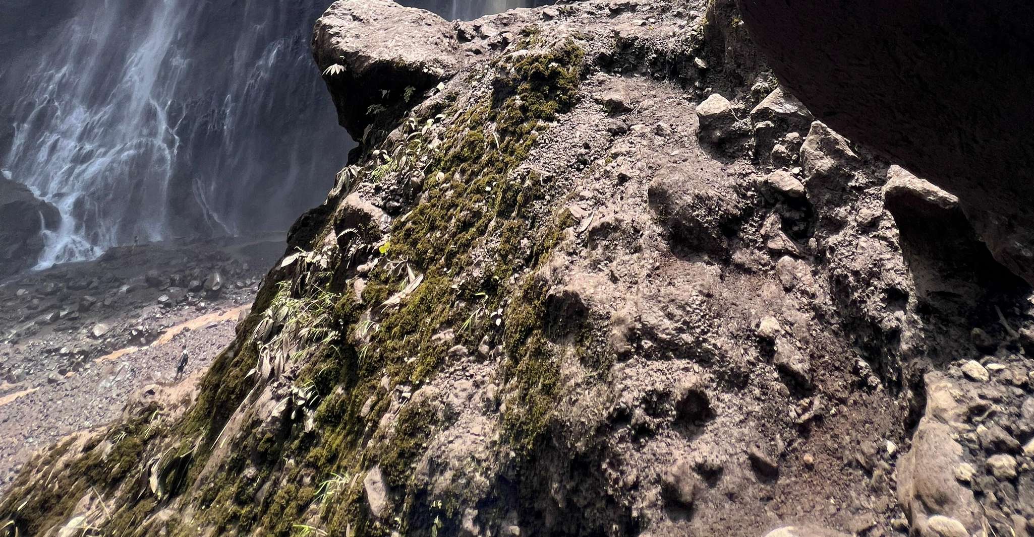 1 jour tumpak sewu cascade démarrer malang - Housity