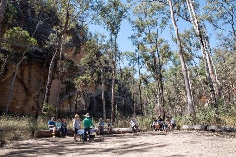 Queensland: Entdecke die Carnarvon Ranges (Wallaroo) TagestourQueensland: Carnarvon Ranges Ganztagestour