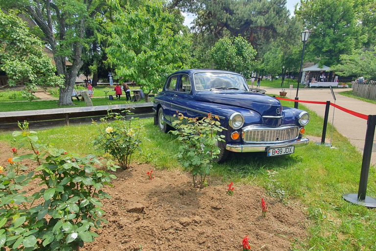 Von Bukarest aus: 9-tägige private geführte Tour durch RumänienStandard Option