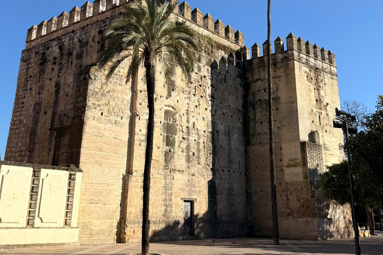 Jerez de la Frontera: Historical Sightseeing Tour, Winery Tour, and Wine Tasting