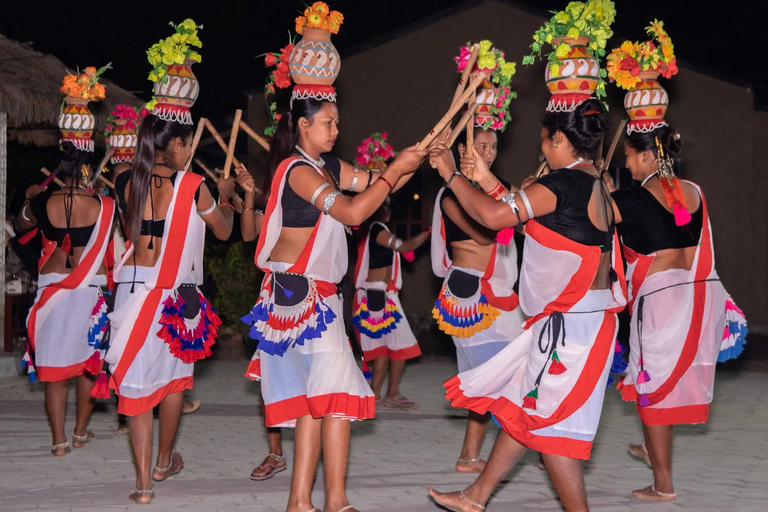 Chitwan: All Inclusive 3 days Safari with Tharu Village tour 3 Star Hotel: All Inclusive Package 2 Nights & 3 Days