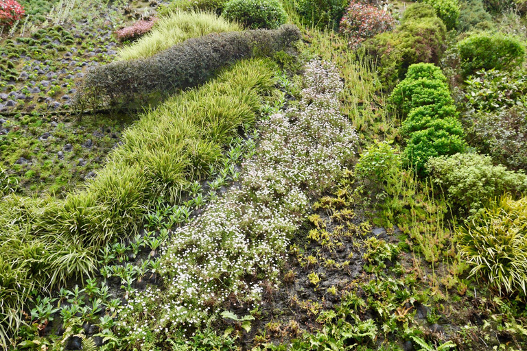 CaixaForum Madrid Private Guided Tour with Tickets 3.5-hour: CaixaForum, Exhibition Hall Tour & Transport