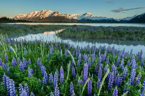 Anchorage: Turnagain Arm Highlights Photography Day Trip