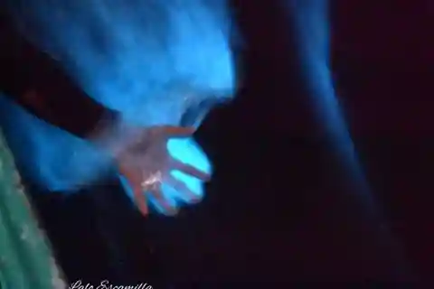 Puerto Escondido: Excursión a la Bioluminiscencia de la Laguna de Manialtepec