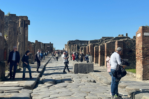 From Amalfi Coast: Pompeii Guided Tour From Amalfi Coast: Pompeii Guided Tour with Skip the Line
