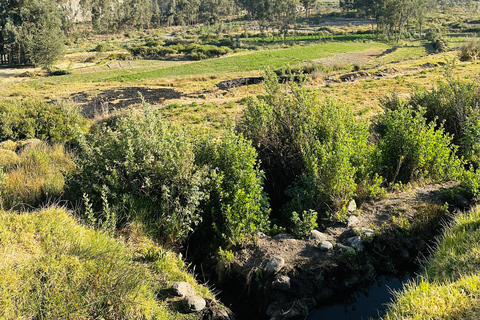 Arequipa: Half day visit to Salinas National Reserve