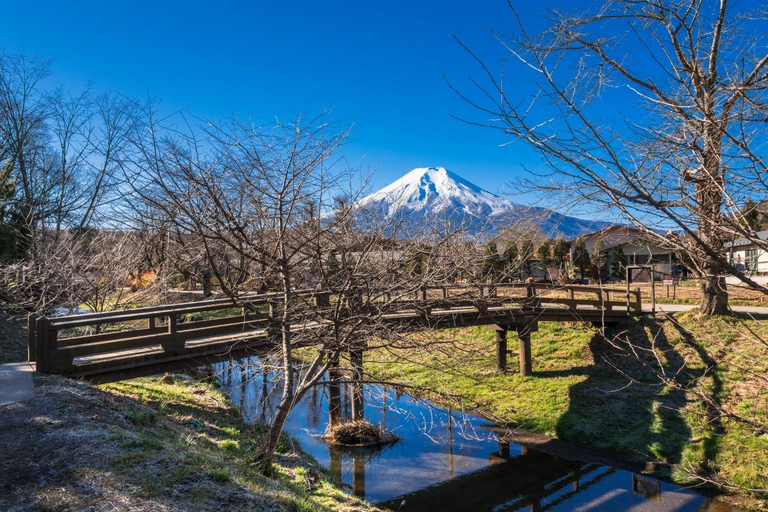 Tokyo: Mt Fuji&Chureito Pagoda&Lake Kawaguchi&Oshino Hakkai Free Karaage Chicken Set | 8AM Tokyo Station Departure