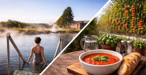 Golden Circle: 6-Stop Private Tour with Secret Lagoon Visit