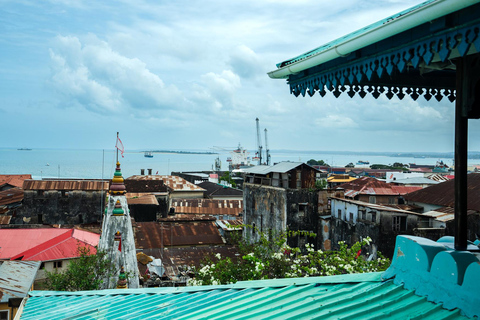 Mnemba island, Dolphin and Stone town tour with transfer WITH TRANSFER - WITH LUNCH