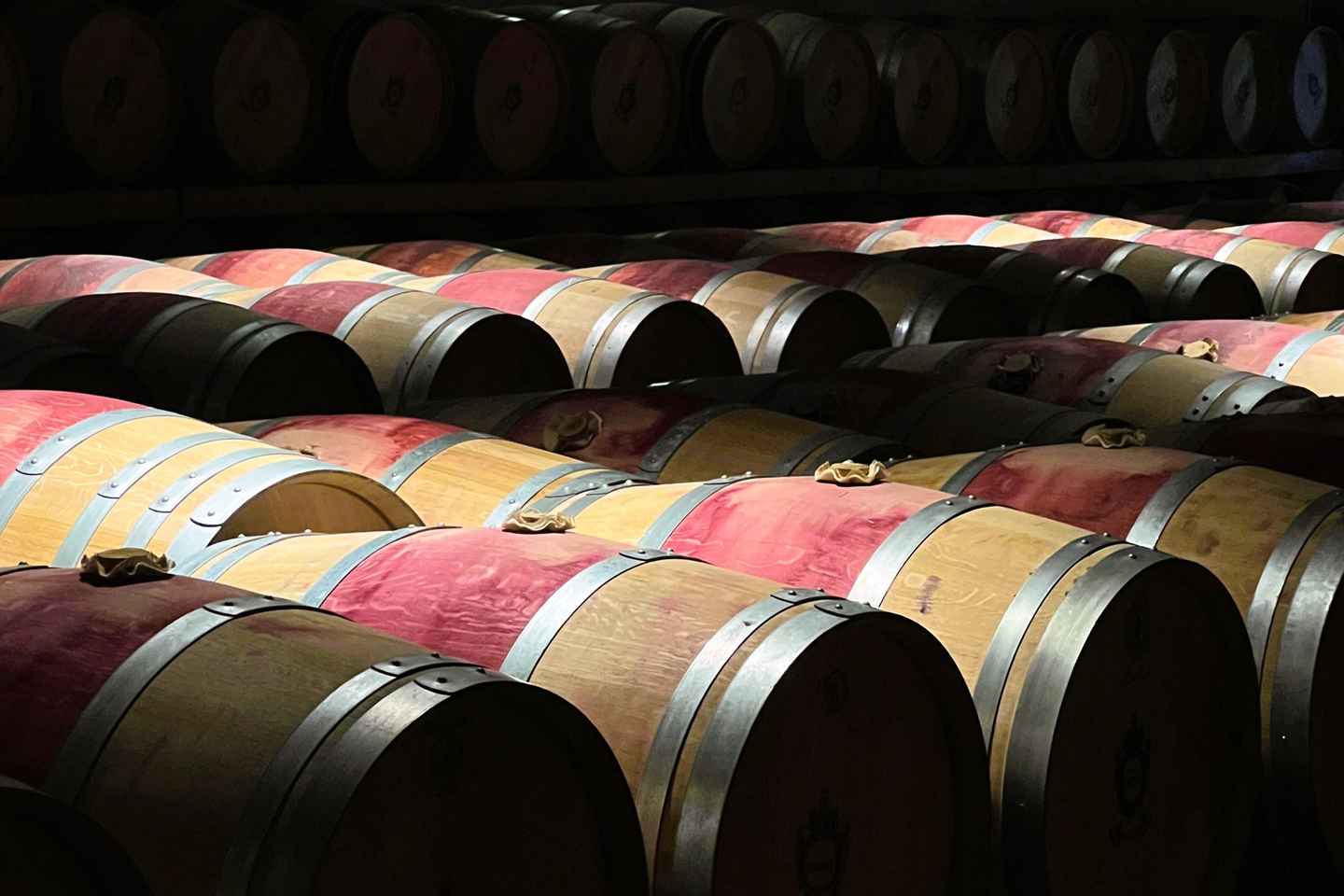 波尔多出发：梅多克酒庄晨间品酒游