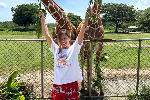 Coron; Calauit Safari Isola Nera Pranzo e trasferimento inclusi