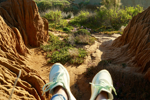 San Diego Torrey Pines Guided Hike and Picnic Private Tour