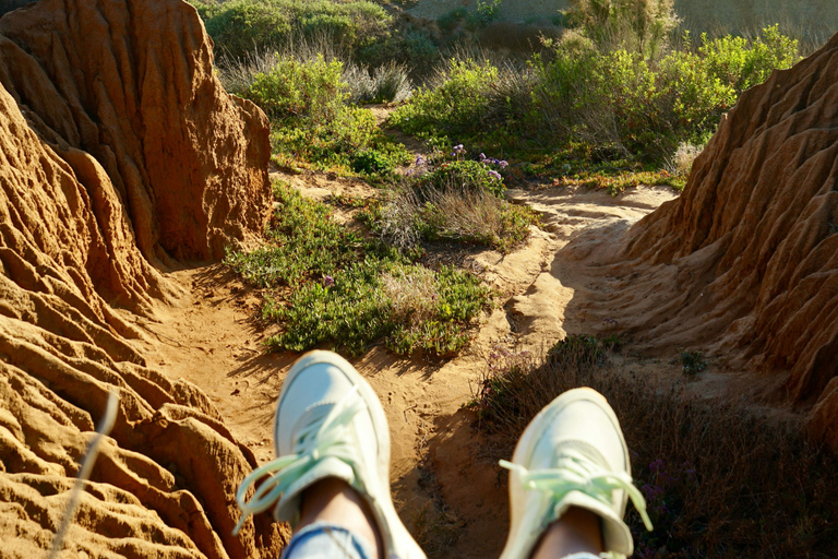 San Diego Torrey Pines Guided Hike and Picnic Private Tour