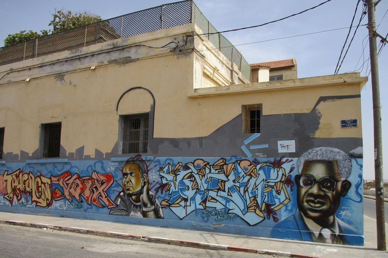 Desde Saly: excursión de un día a Saint Louis