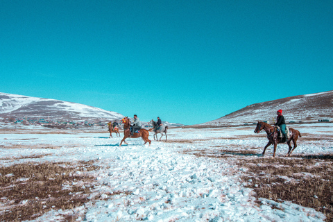 Homer: Guided Beach Horseback Ride with Wildlife Views