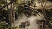 Degustazione del menu.Esperienza in 5 fasi. - Housity
