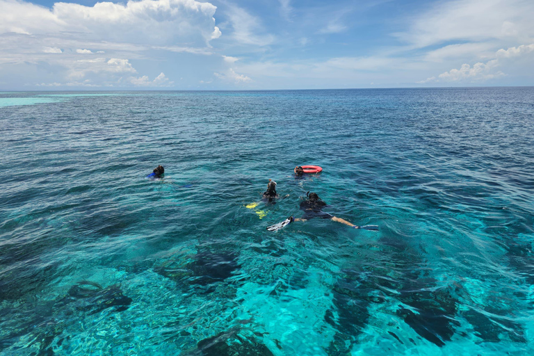 Semporna: Marine Park 3 Island Hike, Snorkel/Dive & lunch Semporna: Tun Sakaran Marine Park SCUBA DIVING