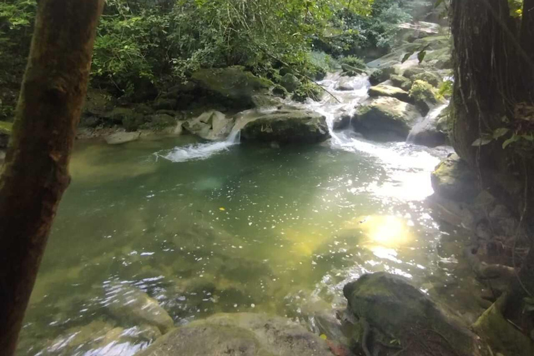 Porto Rico : Randonnée sur la rivière Gozalandia et visite des chutes d&#039;eau