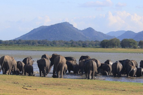 Sigiriya → Anywhere: Private Car Journey with Flexible Stops Private Van with Driver – Up to 100 km (Island-wide)