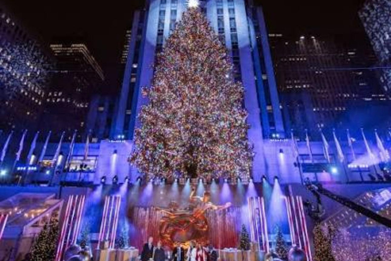 NYC: Central Park Christmas Lights Horse-Drawn Carriage Ride