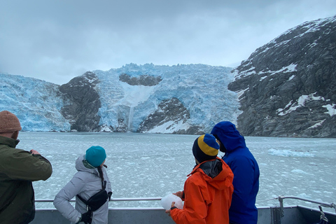 Seward: Full-Day Northwestern Fjord Glacier & Wildlife Tour
