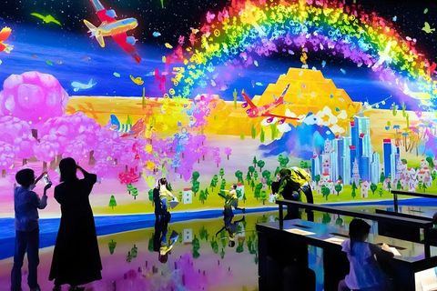 Tokyo: Tsukiji Fish Market Tour, TeamLab Planets & Subway 9:00 AM Tsukiji Tour & TeamLab Entry (12:30-16:00)