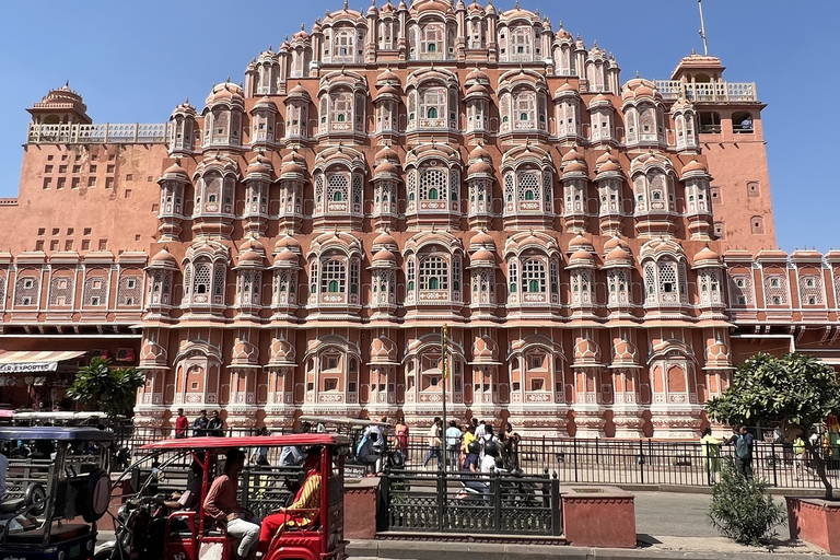 Desde Delhi: Visita guiada privada de la ciudad de Jaipur con trasladosSólo servicios de coche con conductor y guía turístico