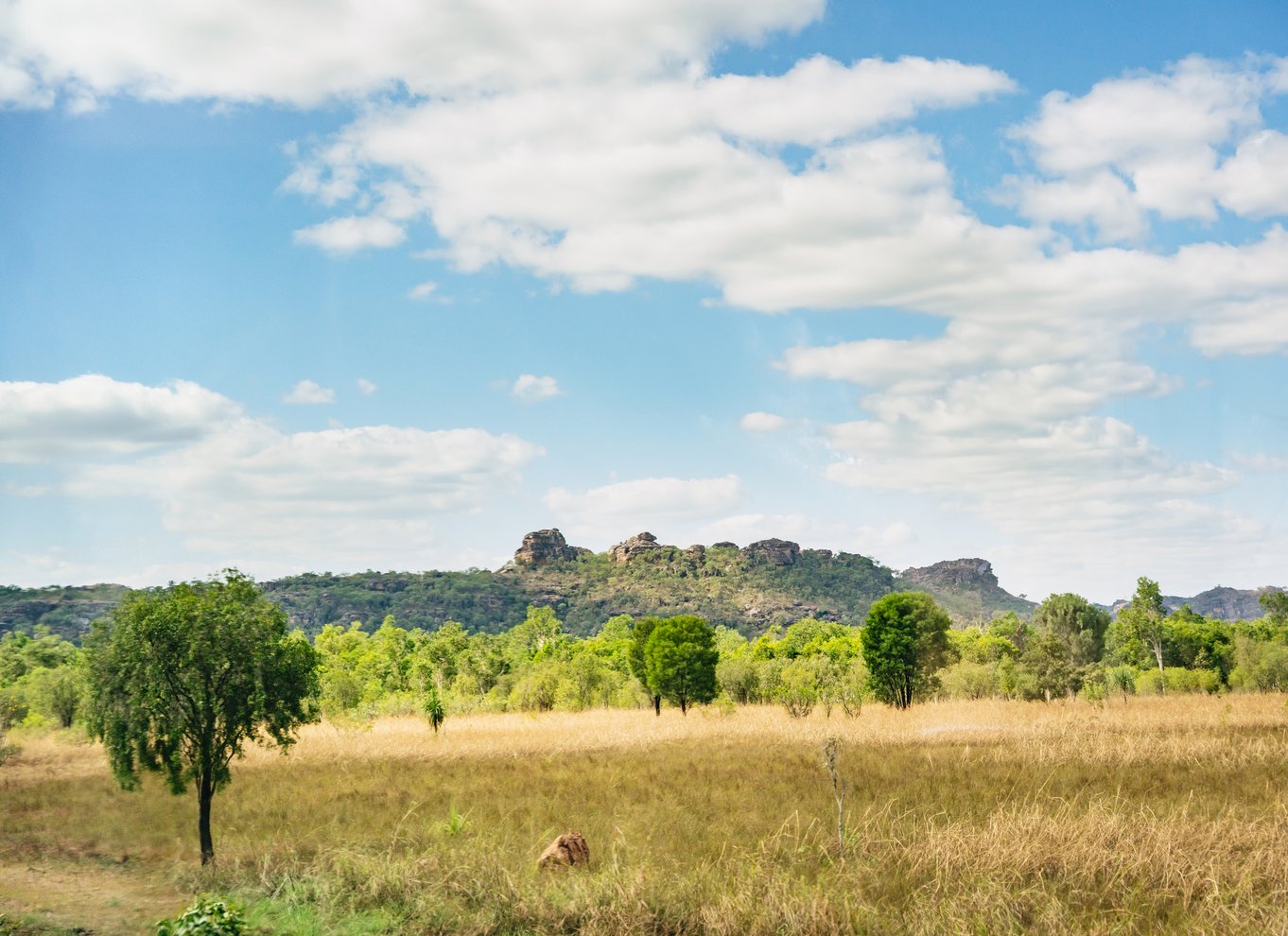 Fra Darwin: Kakadu Wilderness Escape Day Tour fra Darwin