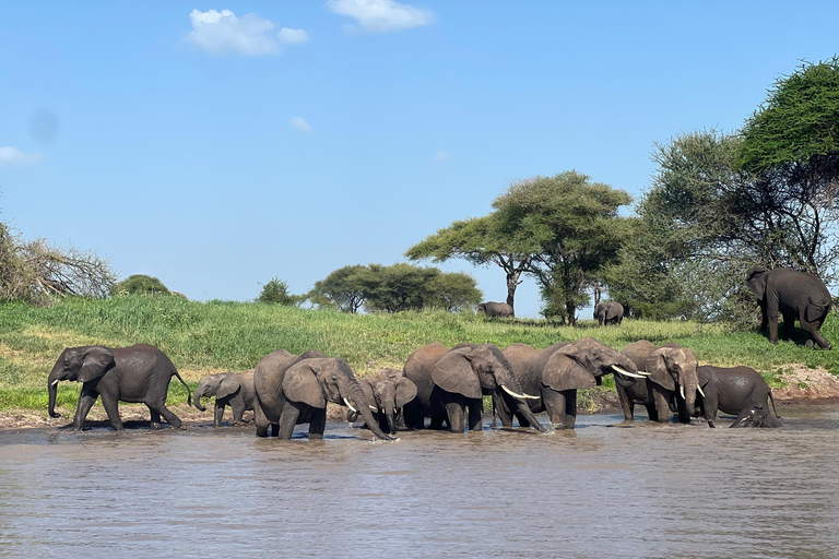Tanzania: 8-Day Private Safari