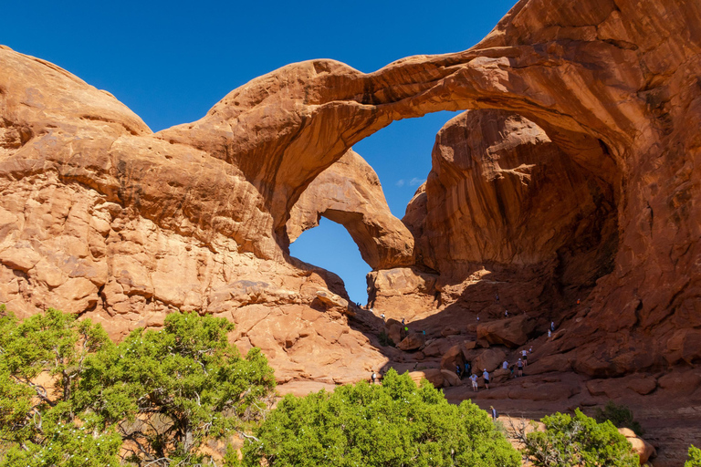 Las Vegas: Safari aéreo privado de 3 días por los Mighty FiveLas Vegas: Safari aéreo privado de 3 días por el Mighty Five