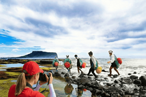 The best Jeju Province Spring activities 2026 - Free cancellation