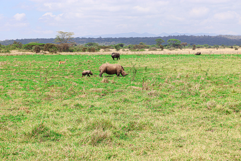 Prywatna wycieczka do Parku Narodowego Nairobi