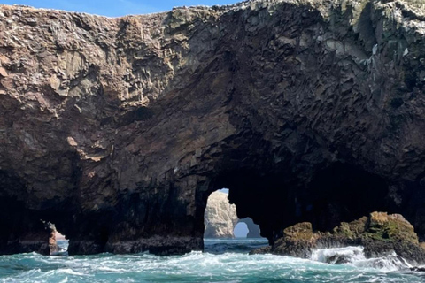 From Lima: Ballestas Islands + Buggy and Sandboarding in Huacachina – Full Day