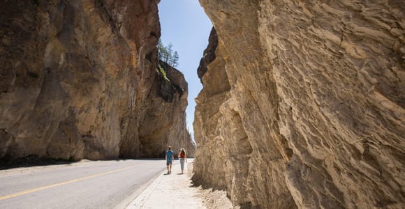 Kootenay National Park: Day Tour & Radium Hot Springs Stop