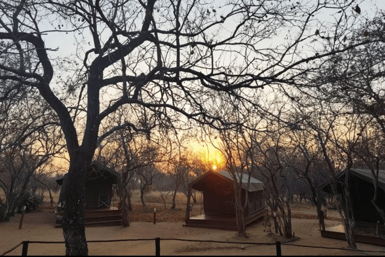 4 Day Budget Kruger Glamping Safari