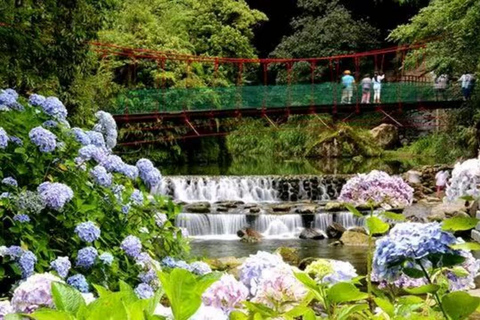 台中：望幽森林与山林溪一日游台中：王游森林与山林溪公园一日游