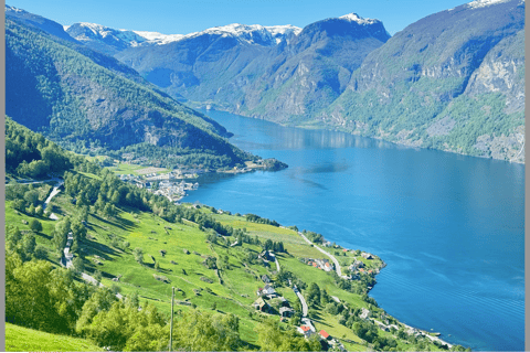 Flåm Flexible Tour with Stegastein, cruise and train include
