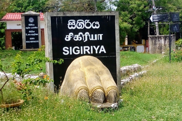 Circuit de 10 jours au Sri Lanka - Le meilleur du Sri Lanka