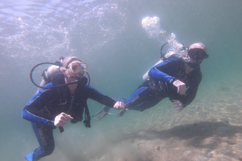 Playa de Ciudad de Panamá: Excursión de buceo para principiantes