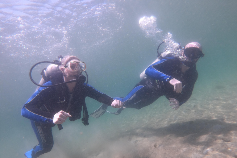 Panama City Beach: Beginners Scuba Diving Tour