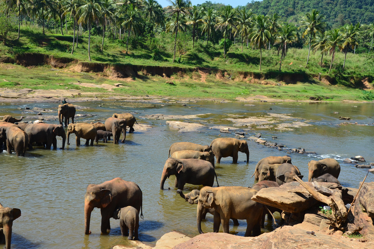 2 dagars rundtur Pinnawala/Sigiriya från Kandy2 dagars rundtur med tuk tuk