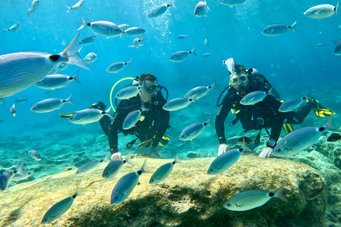Scuba diving-private and individual– No certification needed