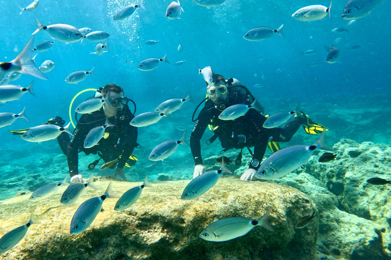 Scuba diving-private and individual– No certification needed