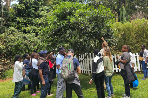 Nairobi: Limuru Tea Farm & Sensory Garden Tour