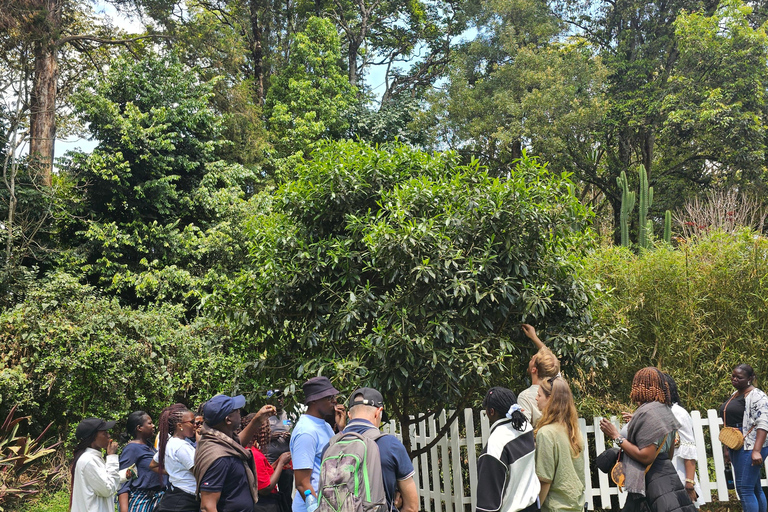 Nairobi: Limuru Tea Farm & Sensory Garden Tour