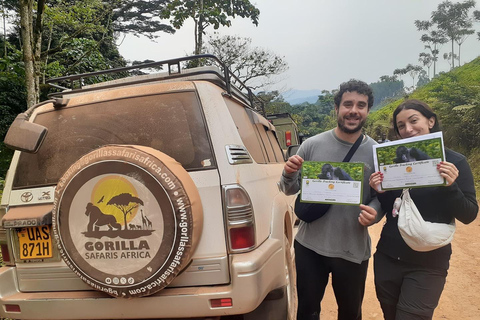 1-Day Gorilla Trekking at Bwindi National Park