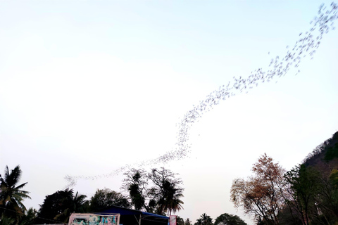 Battambang: Privat dagsutflykt med 9 höjdpunkter